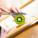 Paul Brown® 4 inch Paring Knife made of S35VN Power steel with 67 Layers Damascus with Premium Wooden Handle