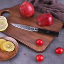 PAUL BROWN Chef Knife Premium Hammered Japanese high carbon Steel with Wooden Handle with Ultra Sharp corrosion-resistant Edge (Knight, 5")