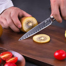 PAUL BROWN Chef Knife Premium Hammered Japanese high carbon Steel with Wooden Handle with Ultra Sharp corrosion-resistant Edge (Knight, 5")
