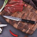 PAUL BROWN Chef Knife Premium Hammered Japanese high carbon Steel with Wooden Handle with Ultra Sharp corrosion-resistant Edge (Knight, 5")