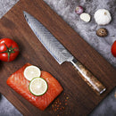 PAUL BROWN Chef Knife Premium Hammered Japanese high carbon Steel with Wooden Handle with Ultra Sharp corrosion-resistant Edge (Premium, 8")
