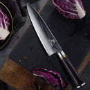 8 Inch Ebony Wood Handle 67 Layers VG10 Damascus Steel Knife Kitchen Knife Chef Knife