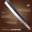 PAUL BROWN® Chef Knife Premium Hammered Japanese high carbon Steel with Wooden Handle with Ultra Sharp corrosion-resistant Edge (Traditional Sushi, 10.5")