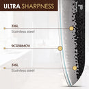 PAUL BROWN® Chef Knife Premium Hammered Japanese high carbon Steel with Wooden Handle with Ultra Sharp corrosion-resistant Edge (Deluxe, 7" Suntuko)