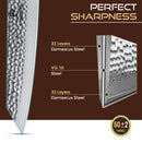 8 inch Kiritsuke Knife 67 Layers Damascus VG10 Steel with Forged Hammer Pattern with Premium Wooden Handle and Ashwood Saya