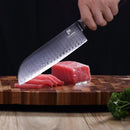 PAUL BROWN Chef Knife Premium Hammered Japanese high carbon Steel with Wooden Handle with Ultra Sharp corrosion-resistant Edge (Knight, 7" Suntuko)