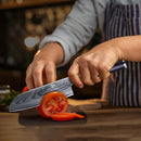 7 Inch Chef Knife Ebony Wood Handle 67 Layers VG10 Damascus Steel Kitchen Santoku Knife