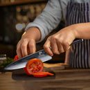 8 Inch Ebony Wood Handle 67 Layers VG10 Damascus Steel Knife Kitchen Knife Chef Knife