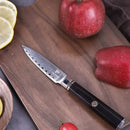 PAUL BROWN Paring Knife Premium Hammered Japanese high carbon Steel with Wooden Handle with Ultra Sharp corrosion-resistant Edge (Knight, 3.5")