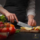 PAUL BROWN® Chef Knife Premium Japanese high carbon Steel with Wooden Handle with Ultra Sharp corrosion-resistant Edge
