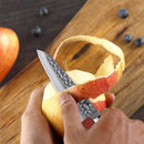 5 inch Utility Knife 67 Layers Damascus VG10 Steel with Forged Hammer Pattern with Premium Wooden Handle and Ashwood Saya