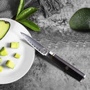 PAUL BROWN Paring Knife Premium Hammered Japanese high carbon Steel with Wooden Handle with Ultra Sharp corrosion-resistant Edge (Knight, 3.5")