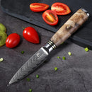 PAUL BROWN Paring Knife Premium Hammered Japanese high carbon Steel with Wooden Handle with Ultra Sharp corrosion-resistant Edge (Premium, 3.5")