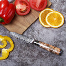 PAUL BROWN Paring Knife Premium Hammered Japanese high carbon Steel with Wooden Handle with Ultra Sharp corrosion-resistant Edge (Premium, 3.5")