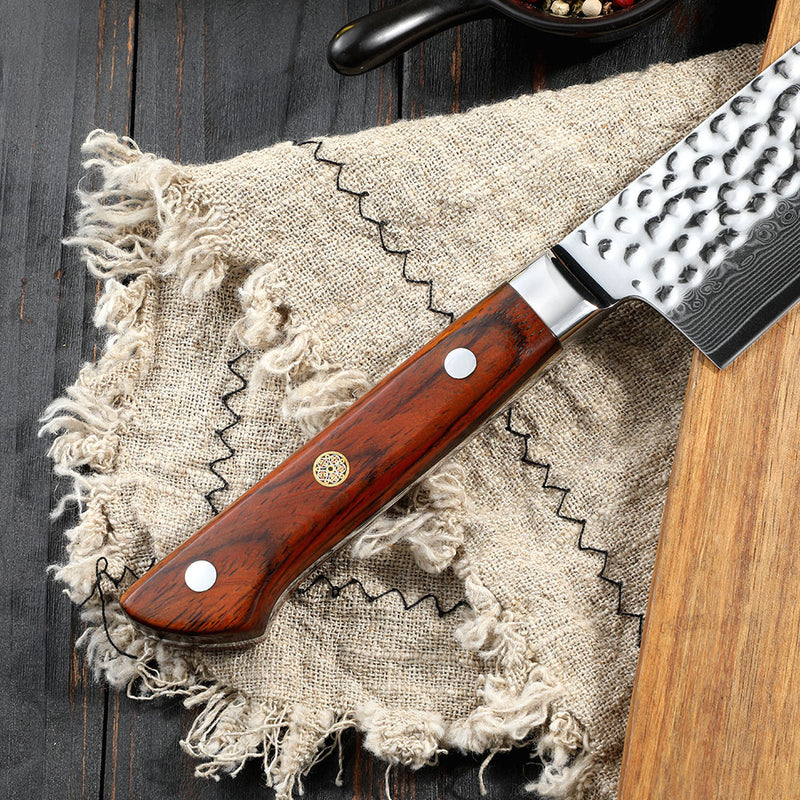 8 inch Chef Knife 67 Layers Damascus VG10 Steel with Forged Hammer Pattern with Premium Wooden Handle and Ashwood Saya