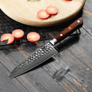 5 inch Utility Knife 67 Layers Damascus VG10 Steel with Forged Hammer Pattern with Premium Wooden Handle and Ashwood Saya