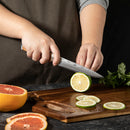 5 Inchs Utility Knife 67 Layers Damascus Steel, VG10 Core with Olive Wooden Handle