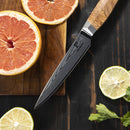 5 Inchs Utility Knife 67 Layers Damascus Steel, VG10 Core with Olive Wooden Handle