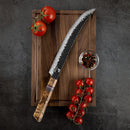 9.5 Inchs Slicer Knife 67 Layers Damascus Steel, VG10 Core with G10 & Spalted Wooden Handle