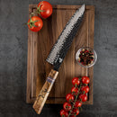 8 Inchs Chef Knife 67 Layers Damascus Steel, VG10 Core with G10 & Spalted Wooden Handle