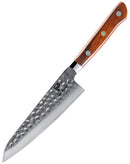 5 inch Utility Knife 67 Layers Damascus VG10 Steel with Forged Hammer Pattern with Premium Wooden Handle and Ashwood Saya
